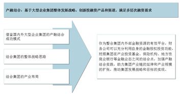 國(guó)企財(cái)務(wù)管理提升路徑研究——中大咨詢視角